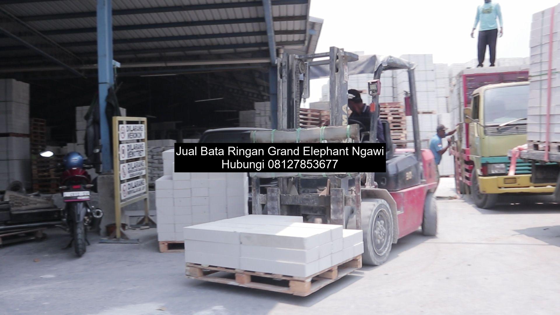 Jual Bata Ringan Grand Elephant Ngawi